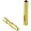 The World Models GOLD kištukai - 2mm - pora -