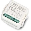 Tuya – 2 kanalų mini ZigBee siųstuvas-imtuvas – Android/iOS programa – OXT T262