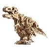 Medinis sukonstruotas T-Rex modelis