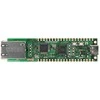W6300-EVB-Pico - plokštė su RP2040 mikrovaldikliu ir Ethernet - WIZnet