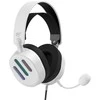 Žaidimų ausinės Havit H2038U RGB (balta)