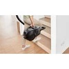 Bosch BGC21X300 Serija 4, Dulkių siurblys be maišelio, Juoda