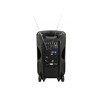 BUSKER-12 NEŠIOJAMA GARSO SISTEMA SU AKUMULIATORIUMI, VHF MIKR. + USB/SD/FM/BT