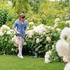 Bosch akumuliatorinė žoliapjovė EasyGrassCut 18V-260, 2x2Ah