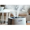 Drėkintuvas Blaupunkt AHS801 