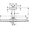 Dušo galva Hansgrohe RAIDANCE E 26250140