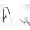 Hansgrohe Focus M41 virtuvės maišytuvas su ištraukiamu purkštuvu, 2 srovės (31815800)