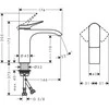 Hansgrohe Maišytuvas praustuvui HG Vivenis 110 w/o 75022000