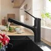 Plautuvės maišytuvas su ištraukiama žarna Hansgrohe Zesis M33, 74800670, juodas matinis
