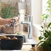 Plautuvės maišytuvas su ištraukiama žarna Hansgrohe Zesis M33, 74801000, chromo