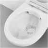 WC komplektas Grohe Bau Ceramic Rimless: BauCeramic Rimless WC su SC dangčiu+WC rėmas+mygtukas Skate Cosmo chromas+rėmo tvirtinimai 39586000