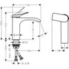 Praustuvo maišytuvas Hansgrohe Vivenis 75024670