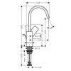 Praustuvo maišytuvas Hansgrohe Vivenis 75030000