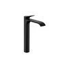Praustuvo maišytuvas Hansgrohe Vivenis 75042670