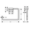 Rankšluosčio laikiklis Hansgrohe AddStoris 41754140, šlifuota bronza