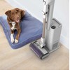 Shark Detect Clean &amp; Empty, baltas - Belaidis dulkių siurblys IW3612EU