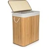 Skalbinių dėžė G21 105 l 6355516