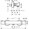 Termostatinis dušo maišytuvas Hansgrohe Ecostat 13116670