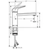 Virtuvinis maišytuvas Hansgrohe Focus M42, 71806800