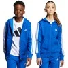 Adidas džemperis