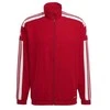 Adidas džemperis