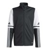 Adidas džemperis