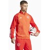 Adidas džemperis