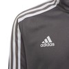 Adidas džemperis