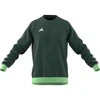 Adidas džemperis