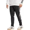 Adidas kelnės