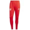 Adidas kelnės