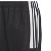 Adidas kelnės