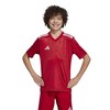 Adidas marškinėliai