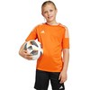 Adidas marškinėliai