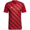 Adidas marškinėliai