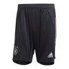 Adidas šortai