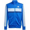 Adidas sportinis kostiumas