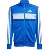Adidas sportinis kostiumas