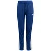 Adidas sportinis kostiumas