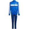 Adidas sportinis kostiumas