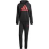 Adidas sportinis kostiumas