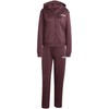 Adidas sportinis kostiumas