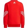Adidas sportinis kostiumas