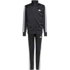 Adidas sportinis kostiumas