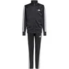 Adidas sportinis kostiumas