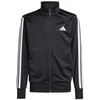 Adidas sportinis kostiumas