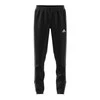 Adidas sportinis kostiumas