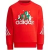Adidas sportinis kostiumas