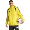Adidas striukė