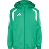 Adidas striukė